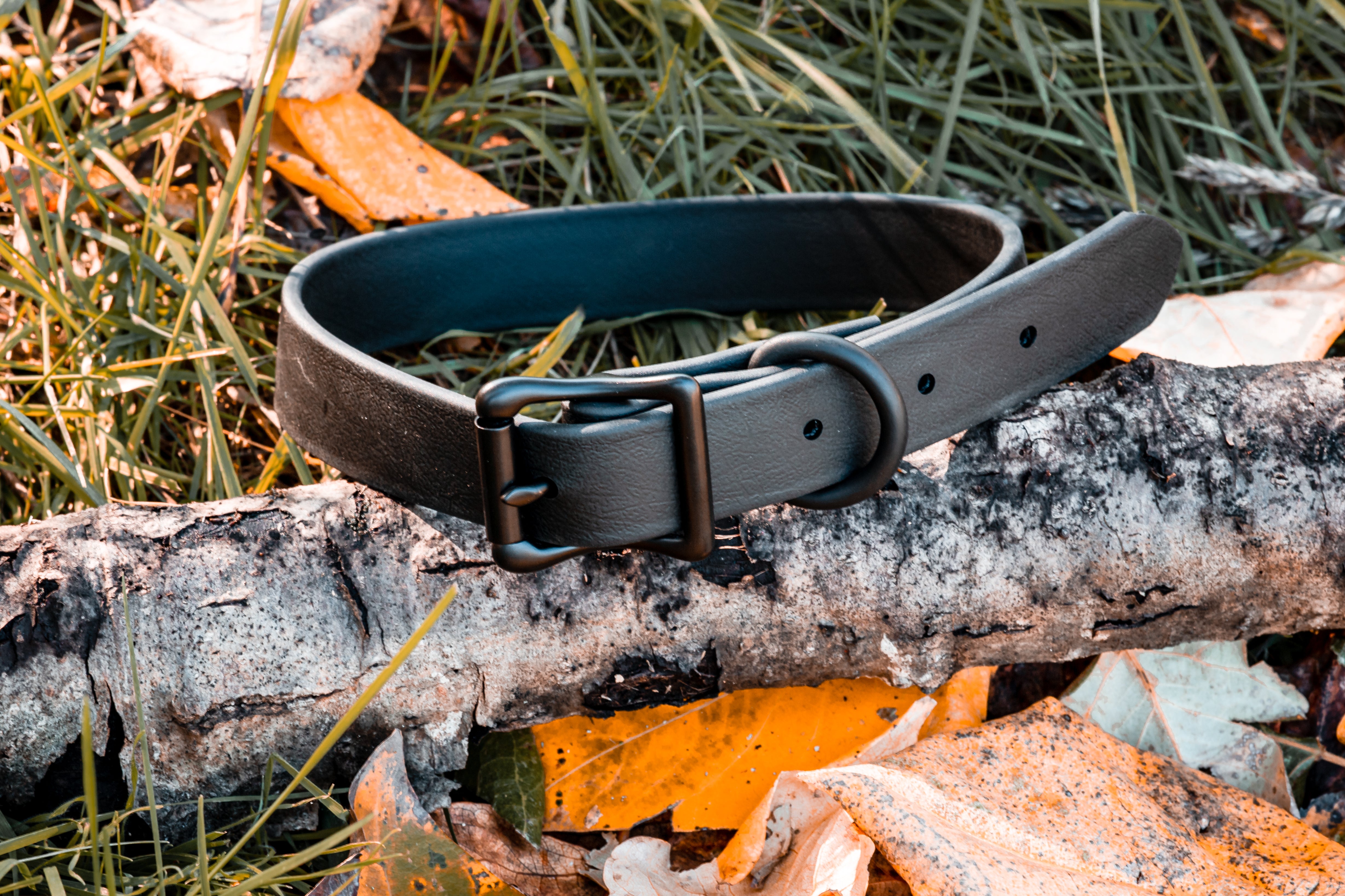 Stealth black dog collar - outdoors - camping - hunting