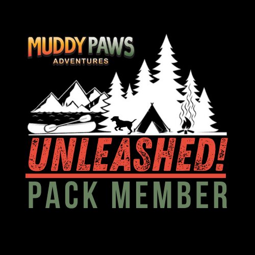 UNLEASHED! Membership (Annual Renewal)