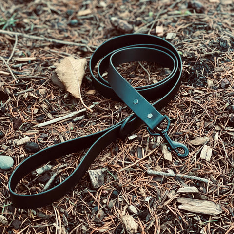 Stealth Leash